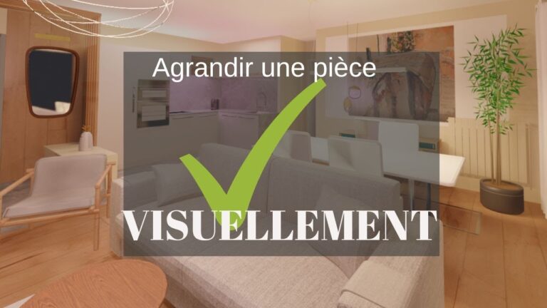 Portes Coulissantes en Verre : Agrandir Visuellement Votre Espace