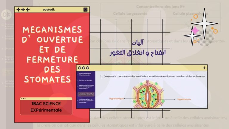 R&eacute;volution des m&eacute;canismes d’ouverture : les derni&egrave;res nouveaut&eacute;s