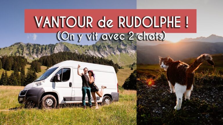 Portes Coulissantes en Bois sur Mesure pour Tous Vos Besoins